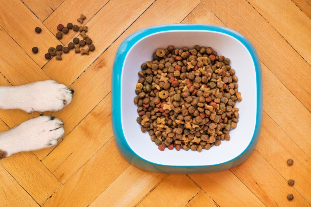 Nachhaltiges Trockenfutter für ernährungssensible Hunde