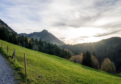 Das Wanderwegenetz rund um Meran in Südtirol