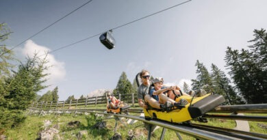 Alpine Coaster Imst