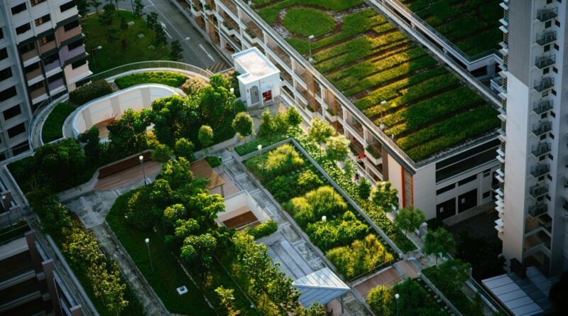 Grüne Städte: Wie urbane Räume Nachhaltigkeit gestalten